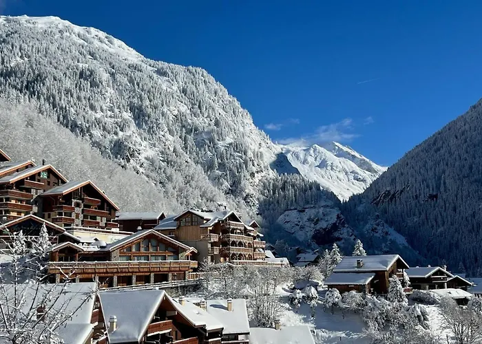 Holiday home Carina - Superbe A 5 Min Des Telecabines *